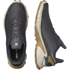 Salomon Alphacross 4 Erkek Ayakkabı