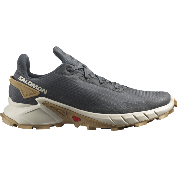Salomon Alphacross 4 Erkek Ayakkabı