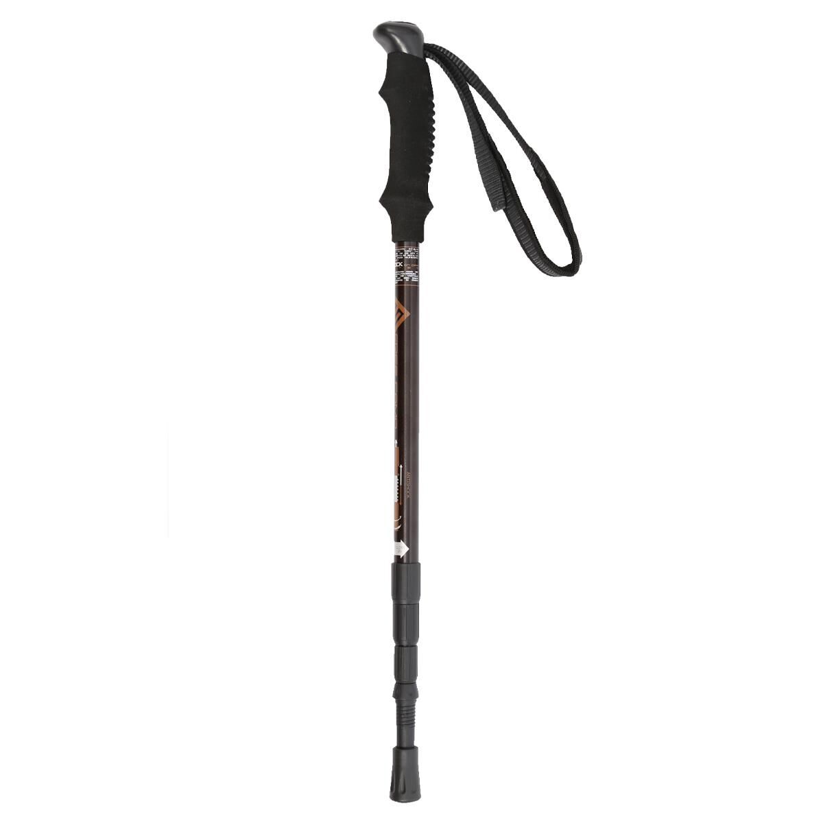 FreeCamp 4 Section Trekking Baton