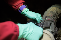 Leatherman Raptor Rescue Black